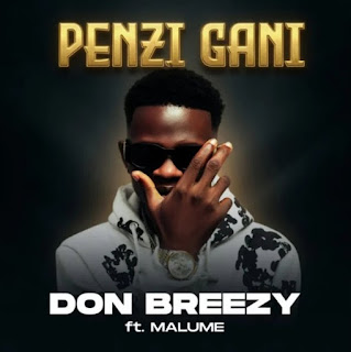 Don Breezy Ft Malume – Penzi Gani MP3 Free | Audio Download Don Breezy Ft Malume – Penzi Gani MP3 Free | Audio Download