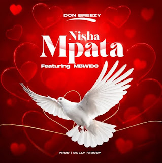 Don Breezy – Nishampata Ft Mbwido MP3 Free | Audio Download