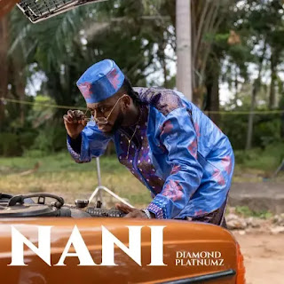 Diamond Platnumz – Nani MP3 Free | AUDIO Download Diamond Platnumz – Nani MP3 Free | AUDIO Download