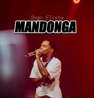Dogo Elisha – Mandonga MP3 Free |   AUDIO Download