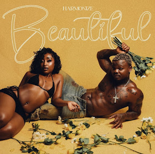 Harmonize – Beautiful MP3 Free | Audio Download Harmonize – Beautiful MP3 Free | Audio Download