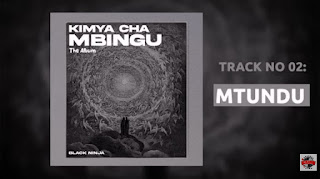 Black Ninjah – Mtundu (Punguani) MP3 Free | AUDIO Download