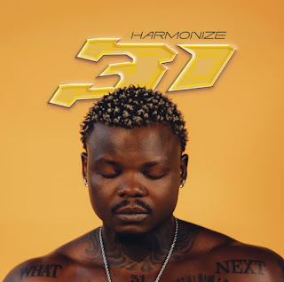 Harmonize – Kudos (Audio Download) | Mp3 Free Harmonize – Kudos (Audio Download) | Mp3 Free