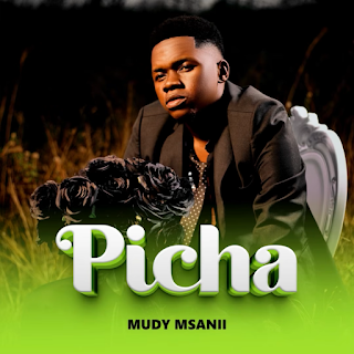 Mudy Msanii – Picha (Audio Download) | Mp3 Free